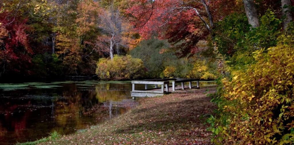 Featured image of Caleb Smith State Park Preserve