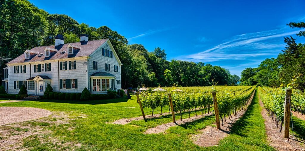 Featured image of Harmony Vineyards