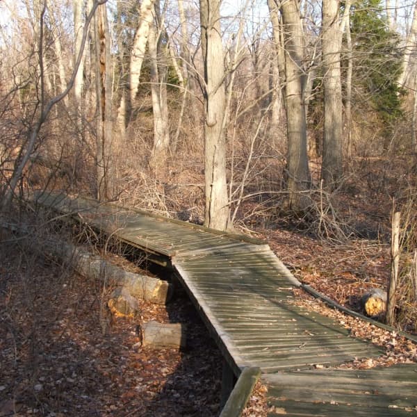 Image of Little Bridge in Caleb Smith State Park Preserve